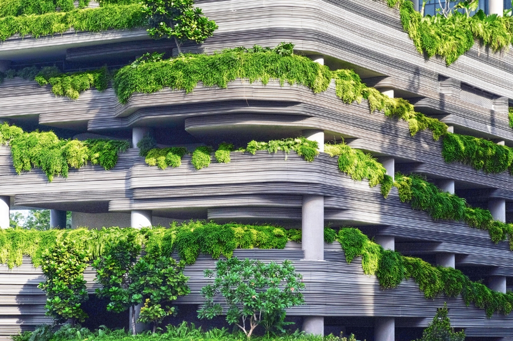 Architecture entertwined with nature